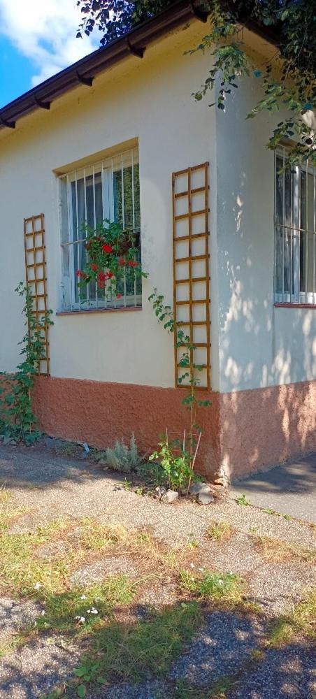 Lovely Room And Free Parking Praha Exteriér fotografie